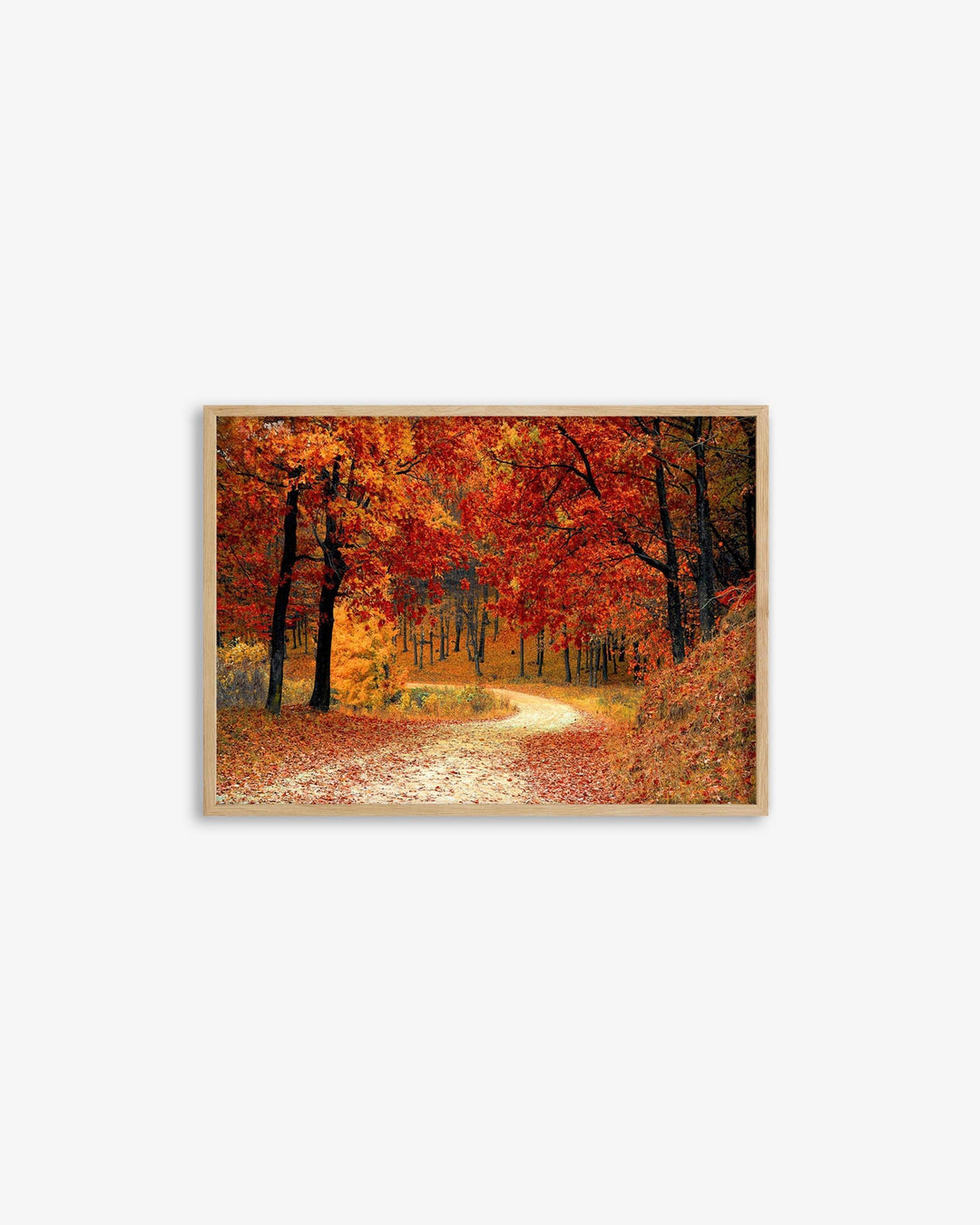 Park In The Autumn Art Print