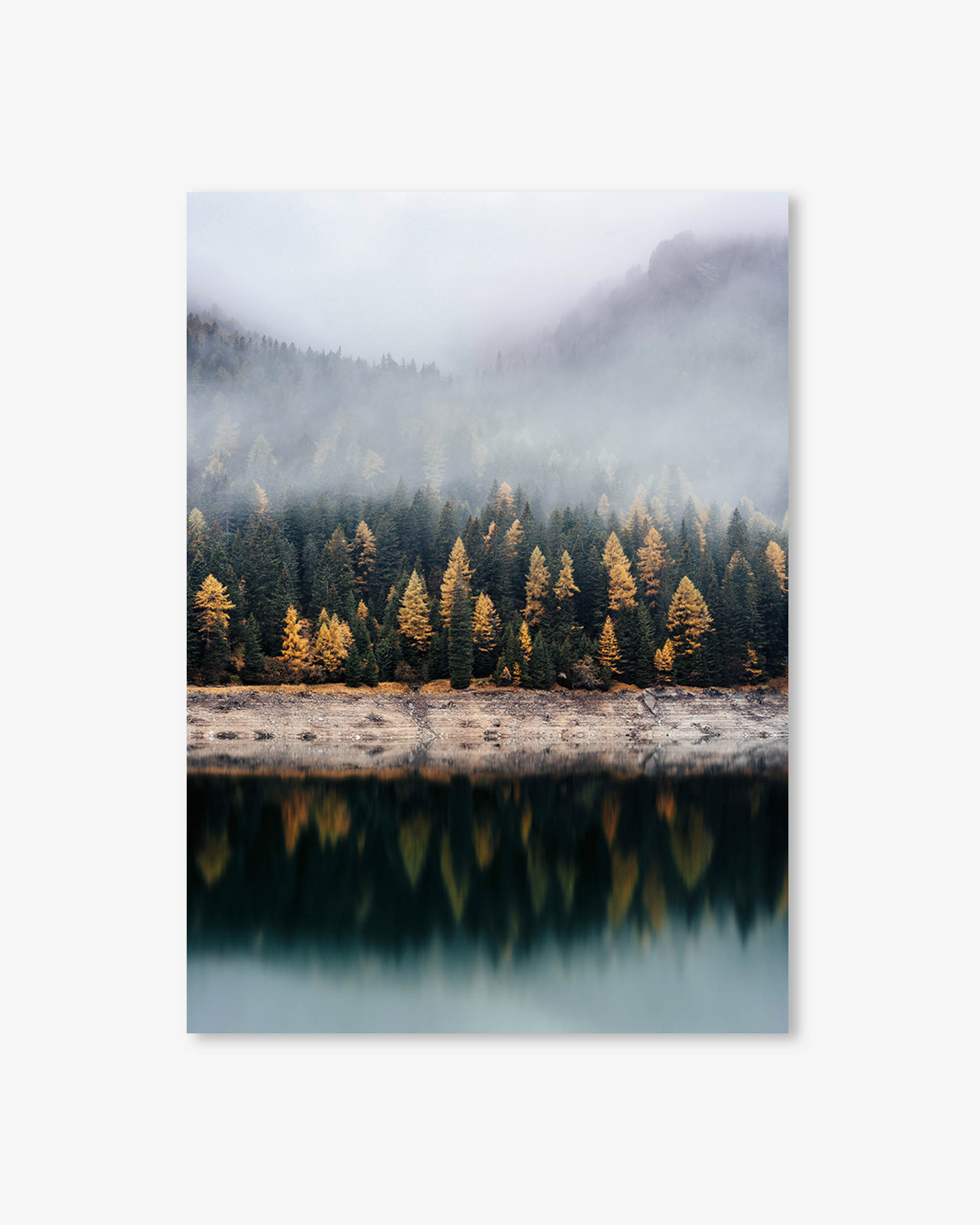 Pinecone Forest Wall Art Print