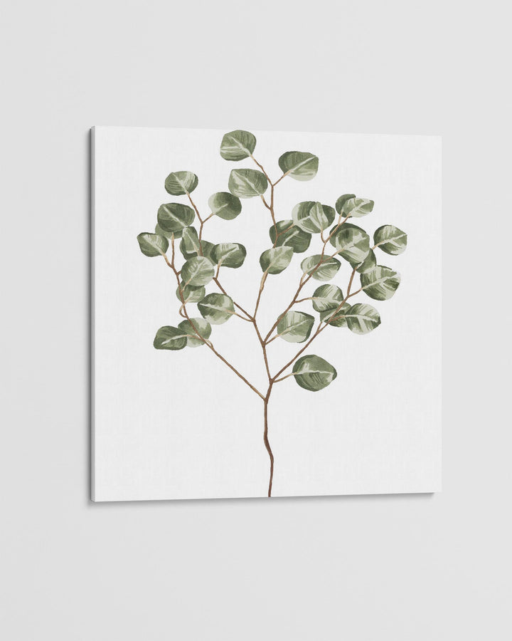 Framed artwork of a eucalyptus branch on a white background