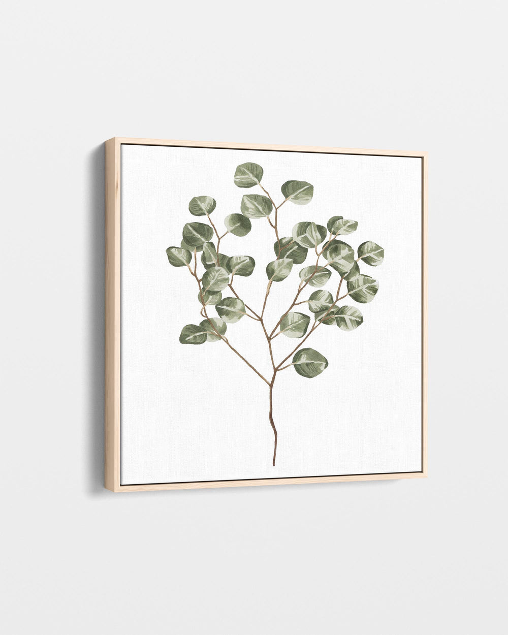Framed artwork of a eucalyptus branch on a white background