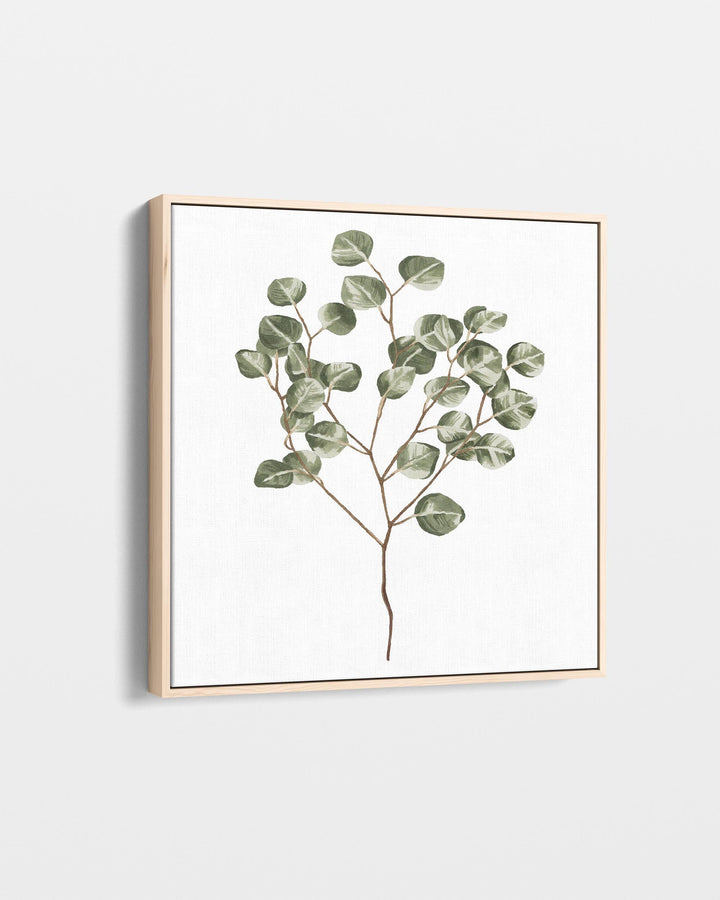 Framed artwork of a eucalyptus branch on a white background