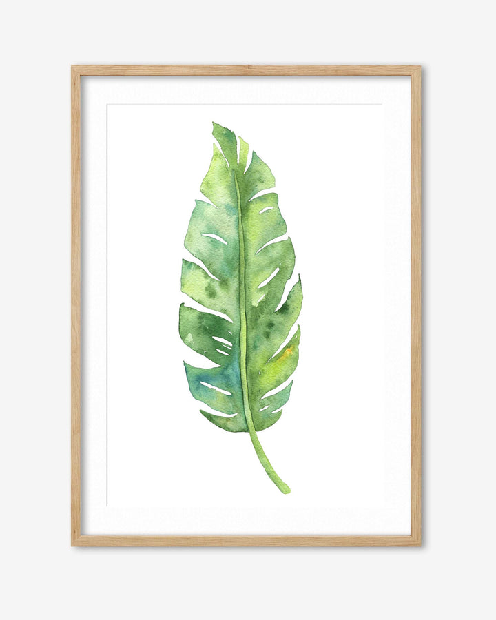 watercolour botanical artwork in an oak frame