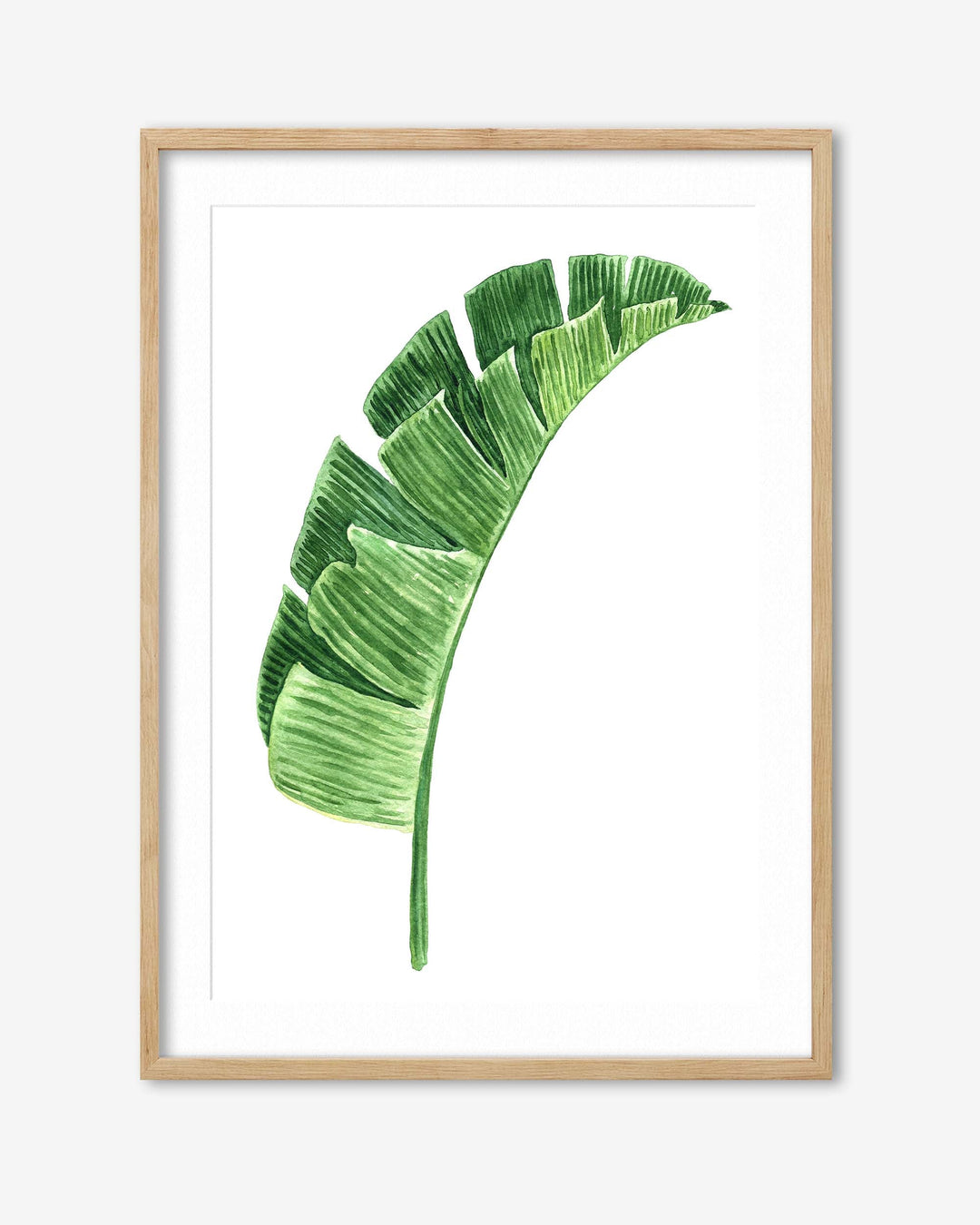 botanical art print frame in an oak frame