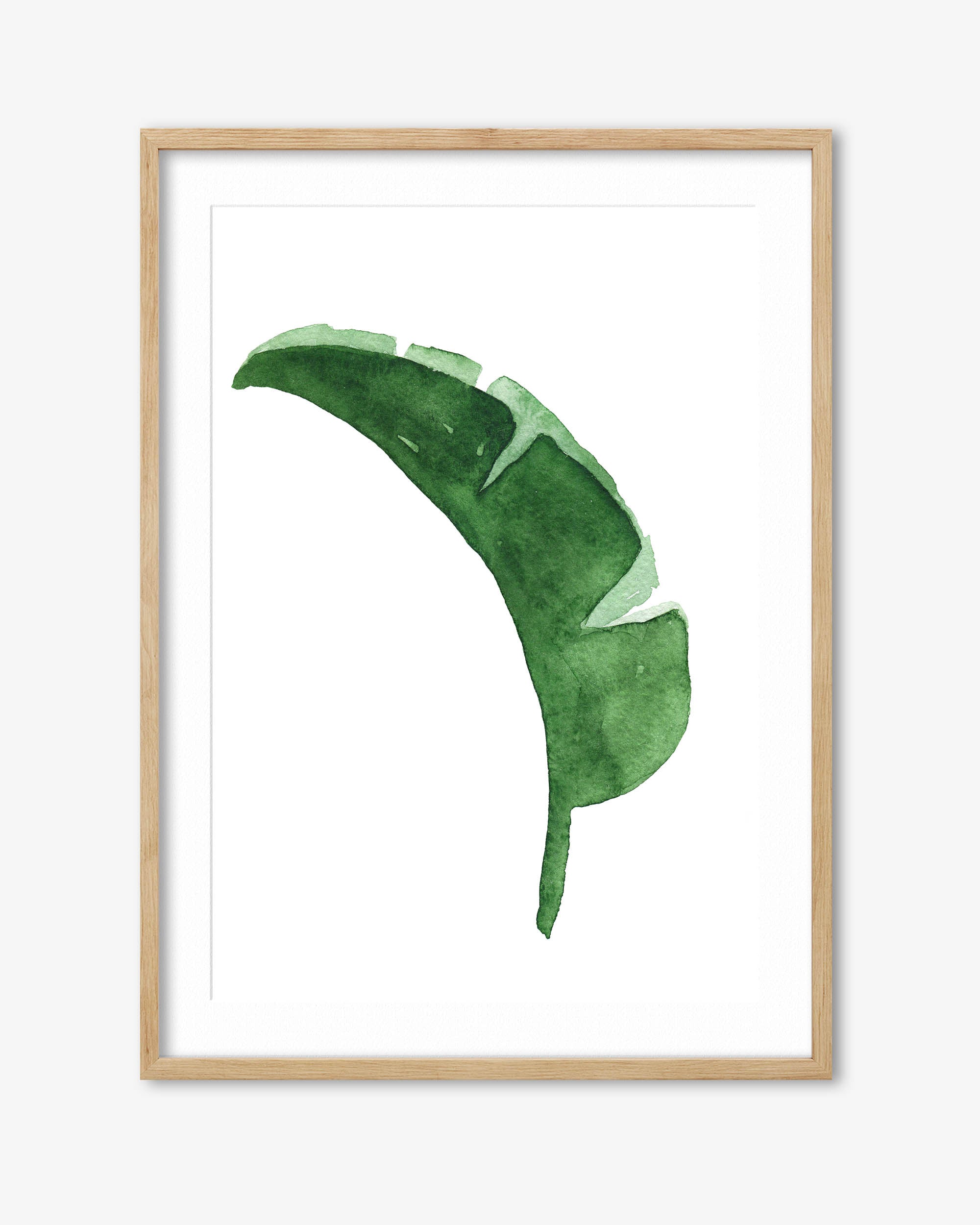 Framed artwork of a green leaf on a white background
