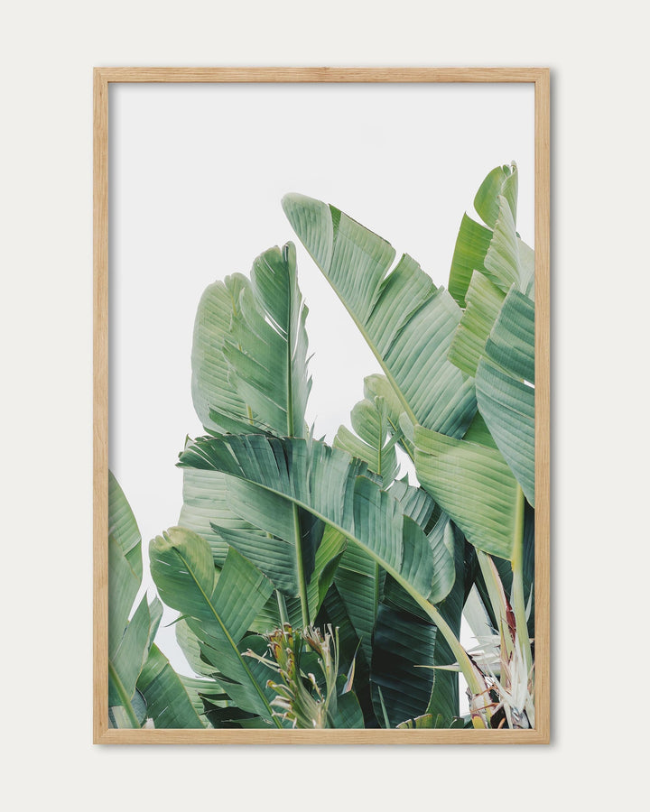 Green Botanical Leaves Wall Art Print