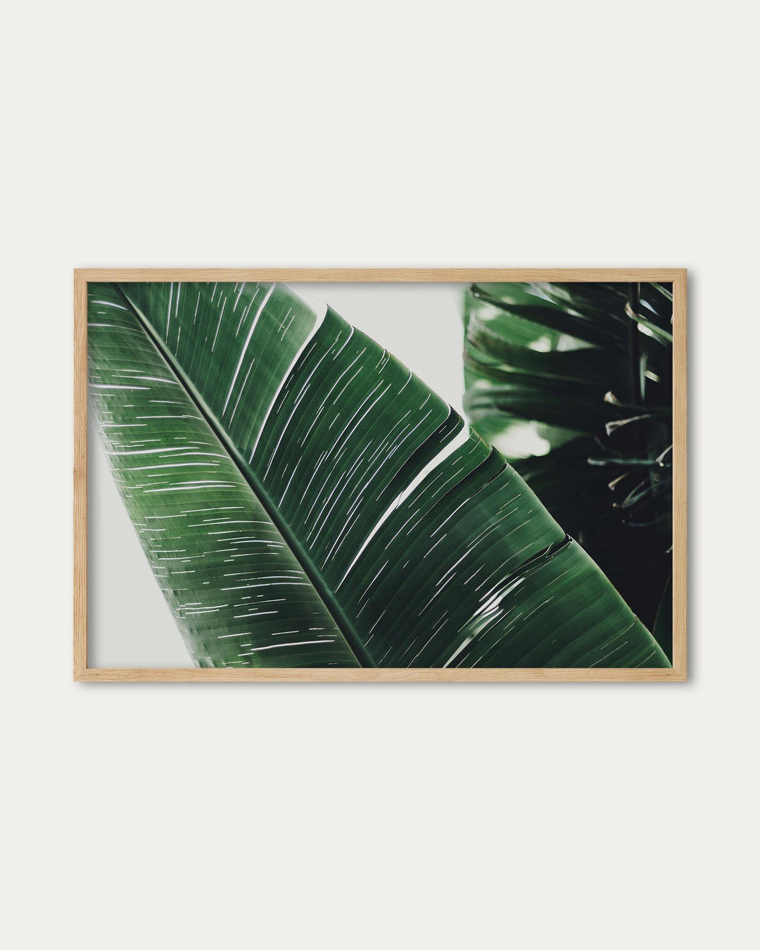 Botanical Leaf Poster