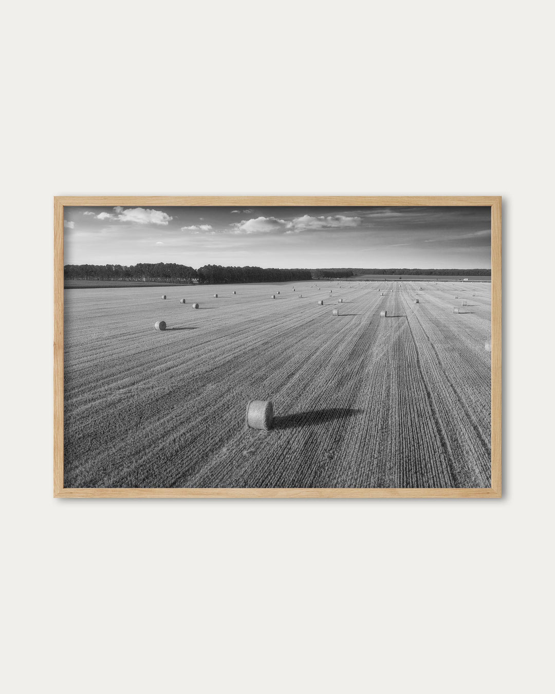 Hay Black And White Wall Art Print