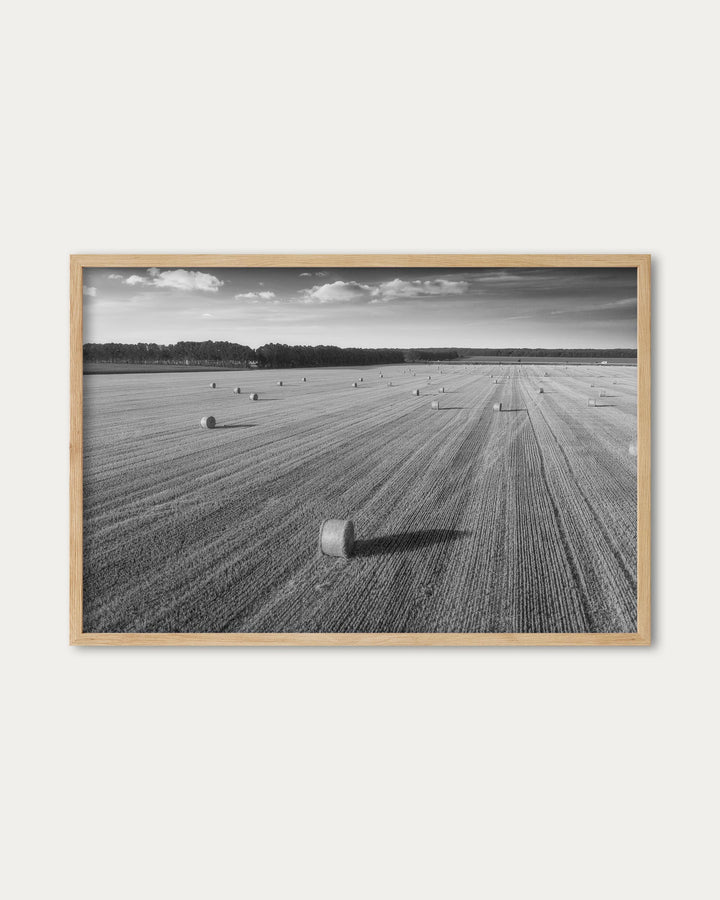 Hay Black And White Wall Art Print