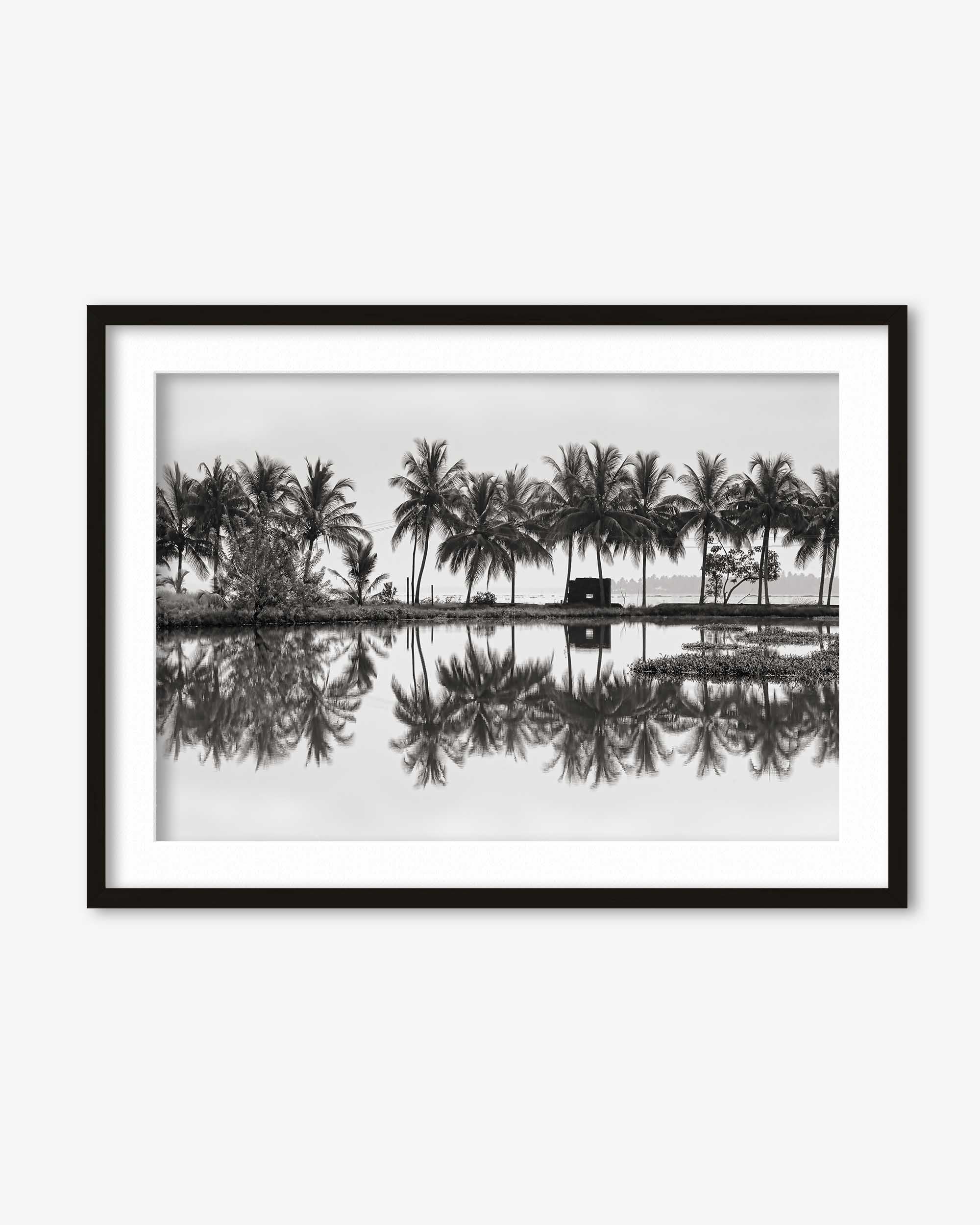 Framed black and white photograph of palm trees reflected in water
