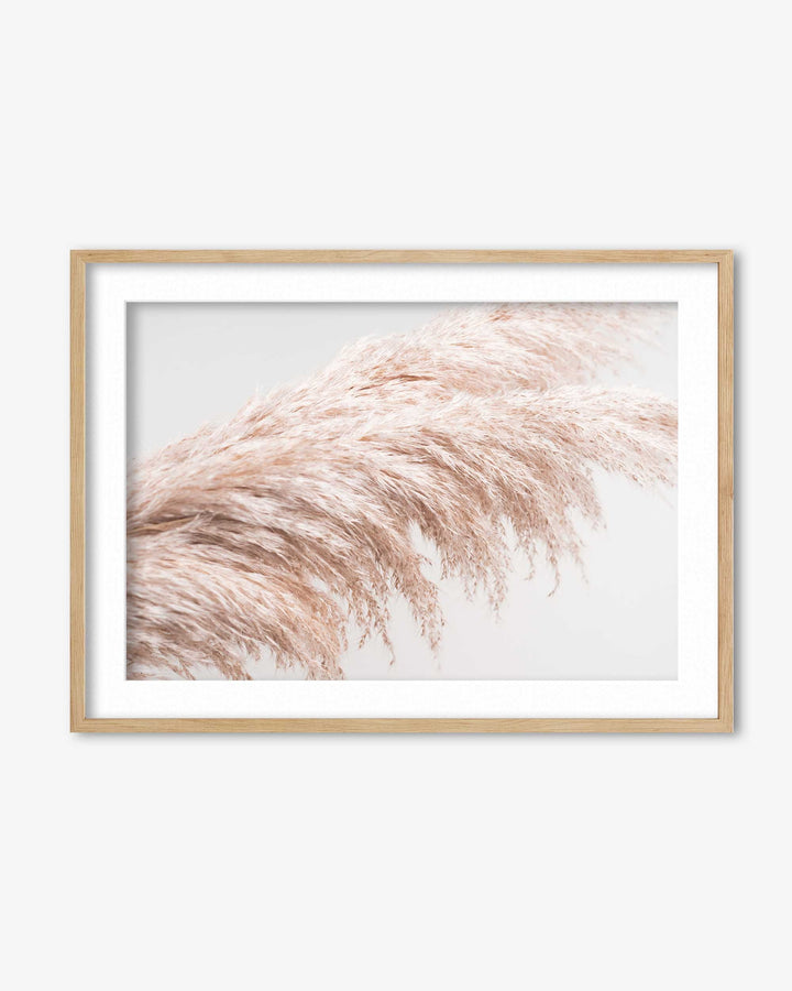 Pampass II Wall Art Print