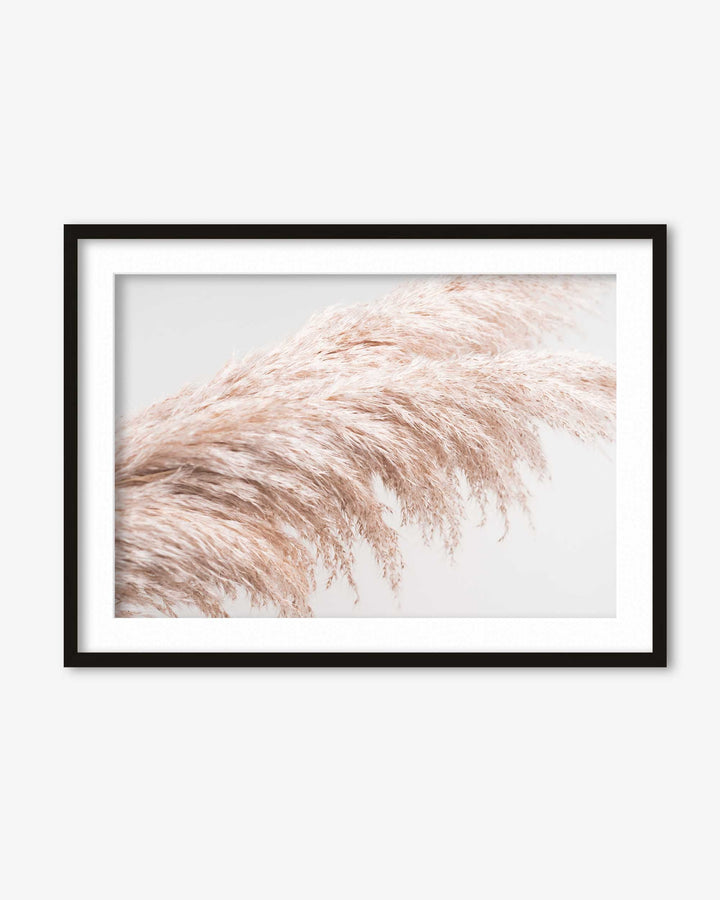 Pampass II Wall Art Print