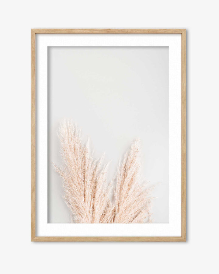 Pampass Wall Art Print