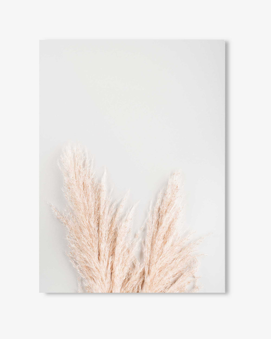 Pampass Wall Art Print