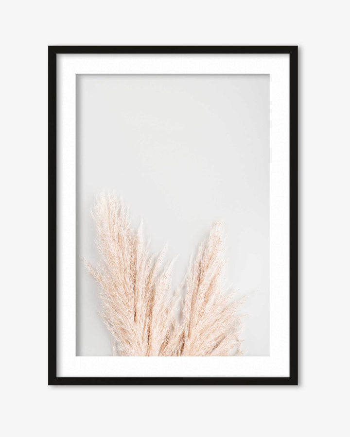 Pampass Wall Art Print