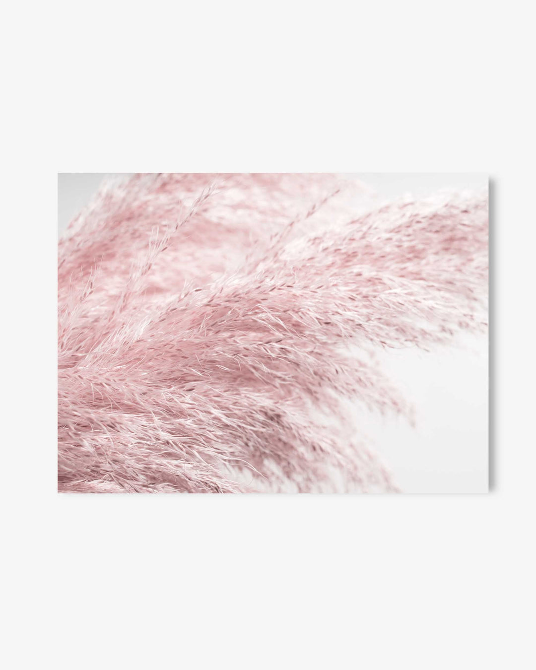 Pampass III Wall Art Print