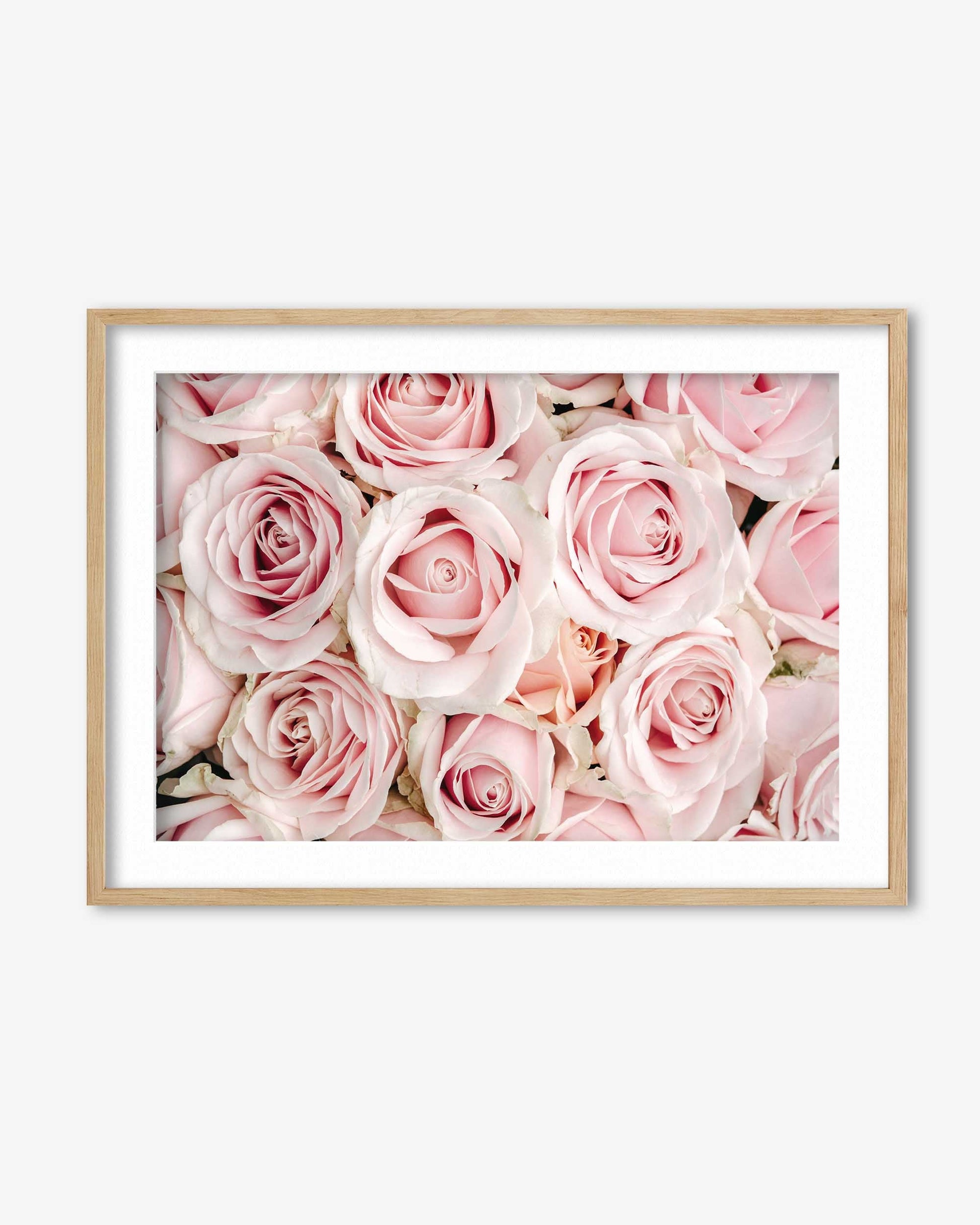 Framed print of pink roses on a white background
