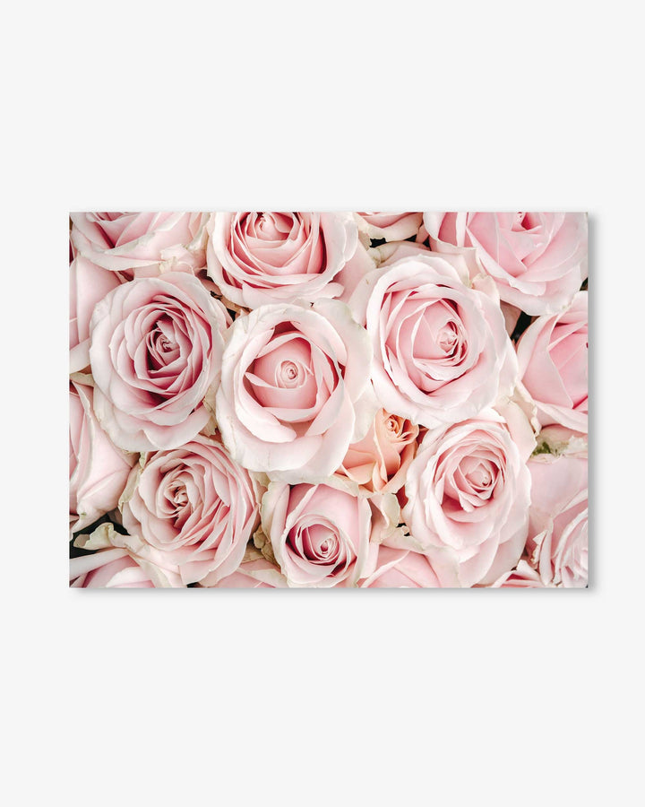 Pink Flowers Art Print