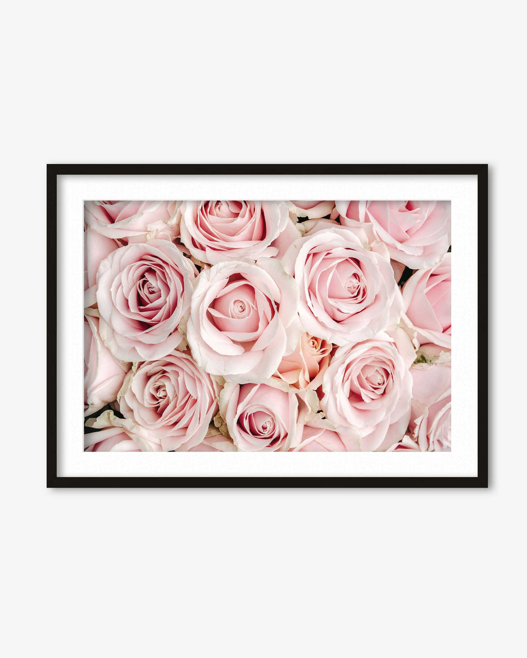 Pink Flowers Art Print