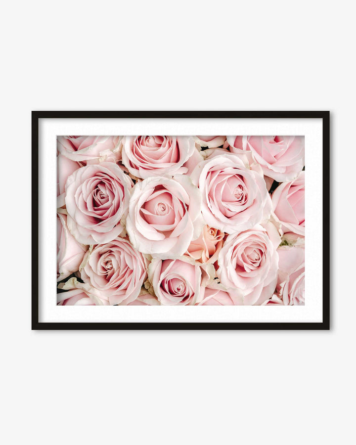 Pink Flowers Art Print