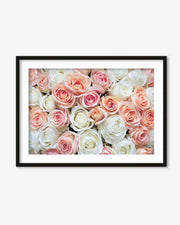 Pink & White Roses Art Print