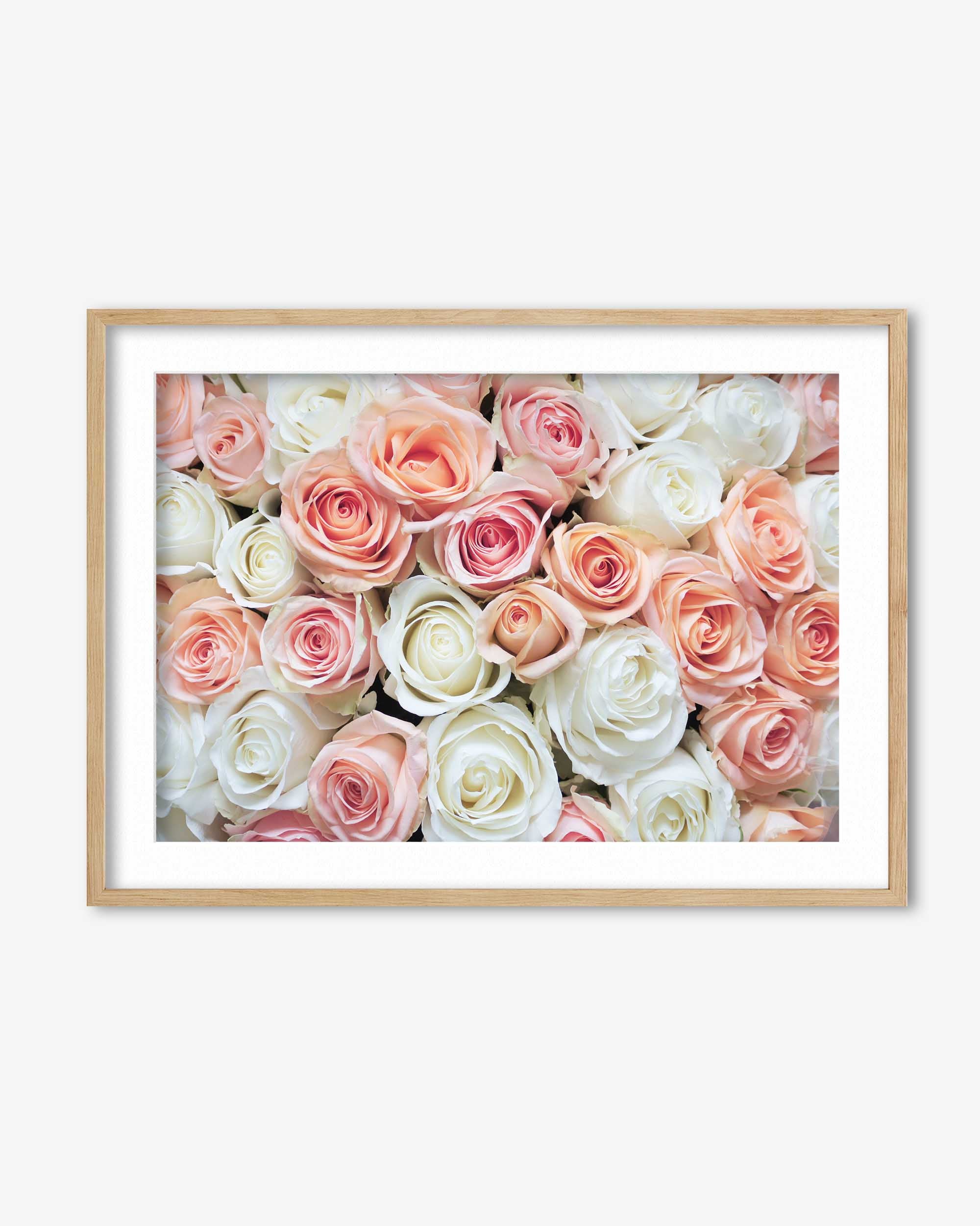Pink & White Roses Art Print