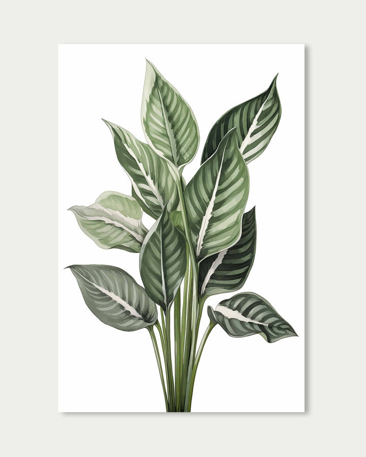 Botanica Wall Art Print