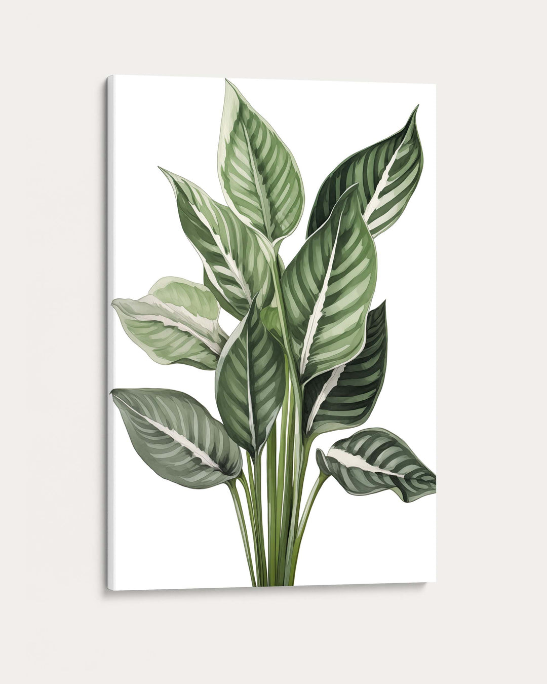 Botanica Wall Art Print