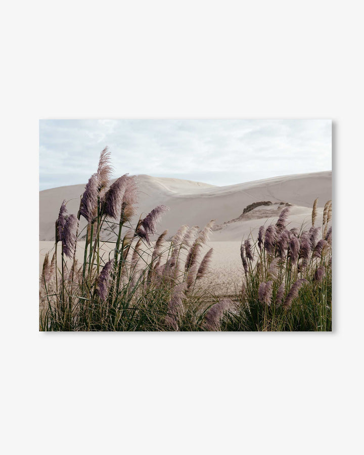 Sand Dunes II Wall Art Print