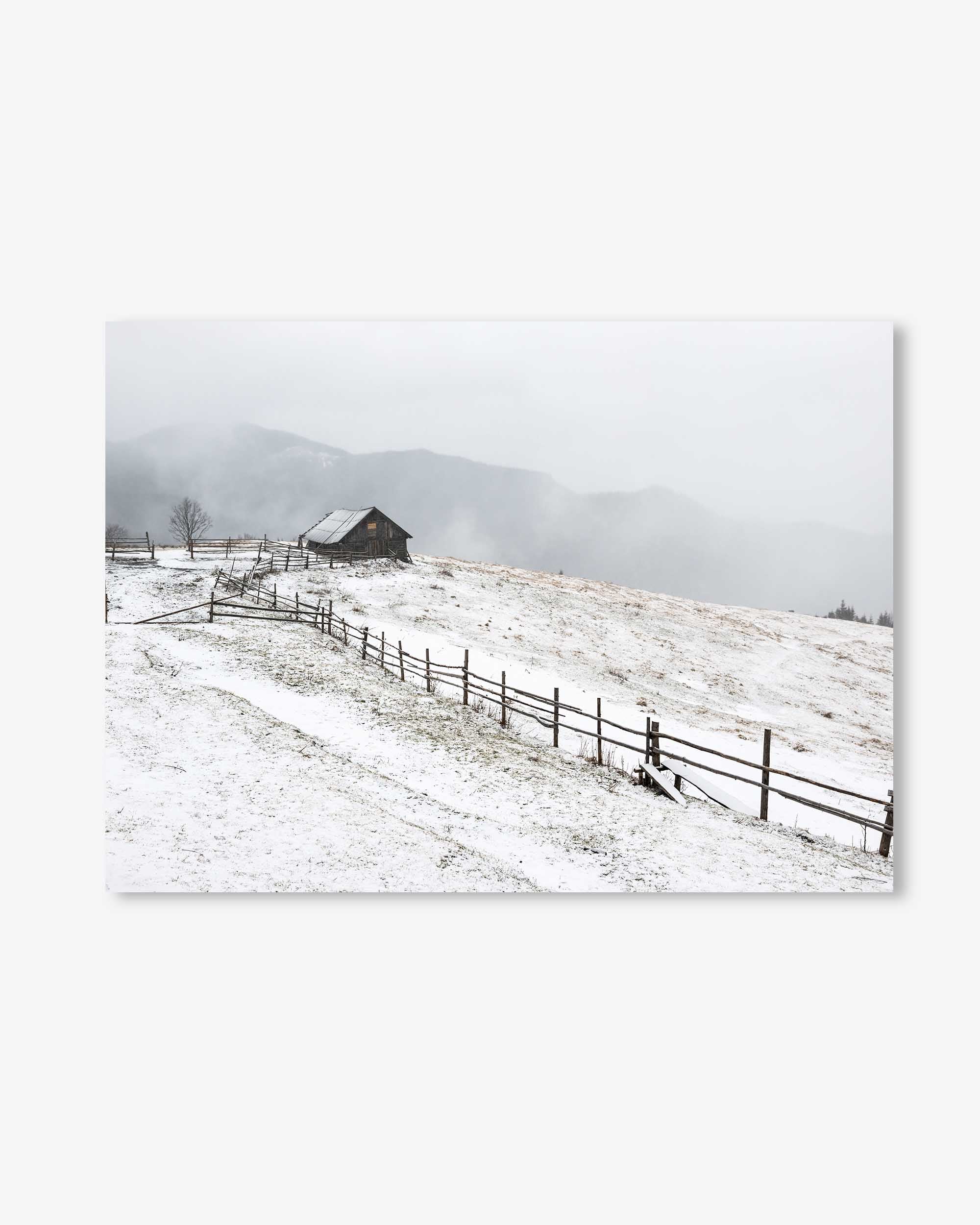 Snow Field Wall Art Print