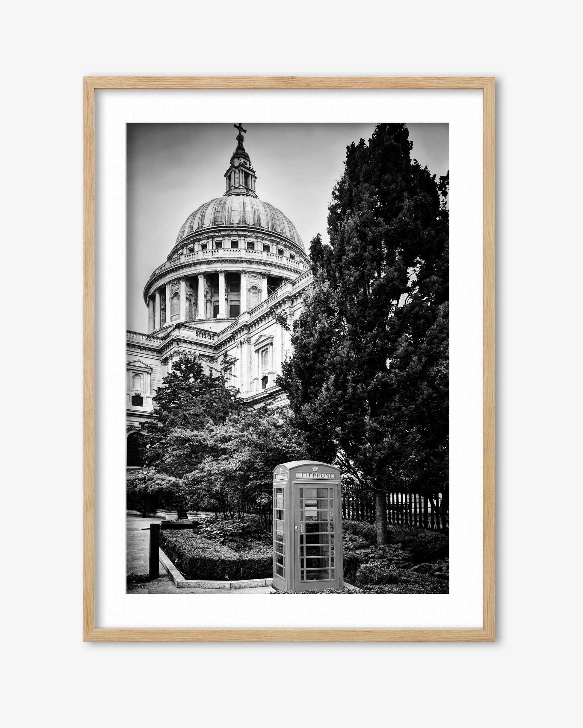 Framed black and white photograph of a large building with a dome and trees in the foreground.