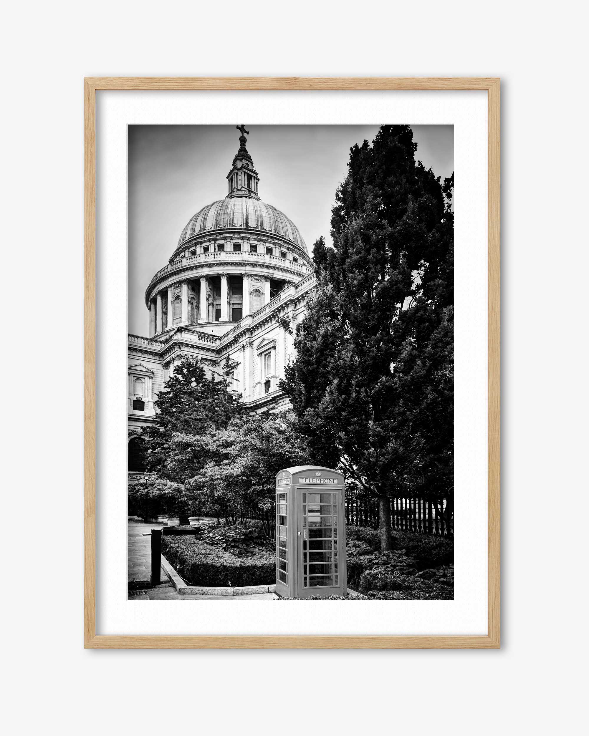 Framed black and white photograph of a large building with a dome and trees in the foreground.