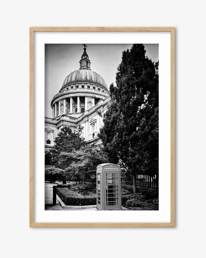 Framed black and white photograph of a large building with a dome and trees in the foreground.