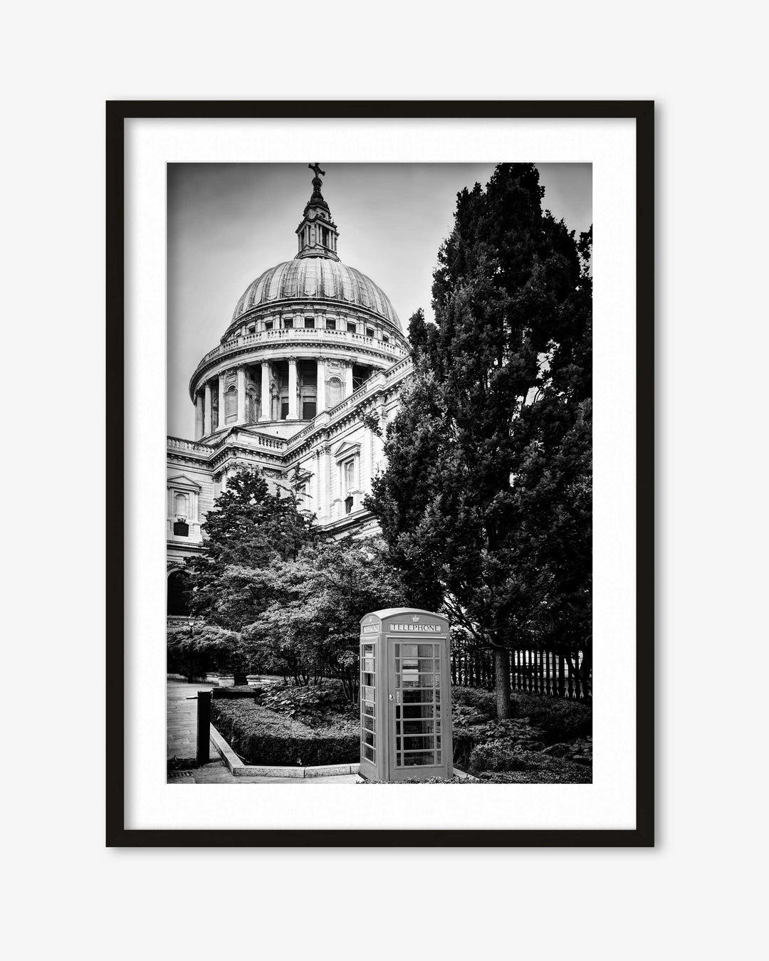 Framed black and white photograph of a large building with a dome and trees in the foreground.