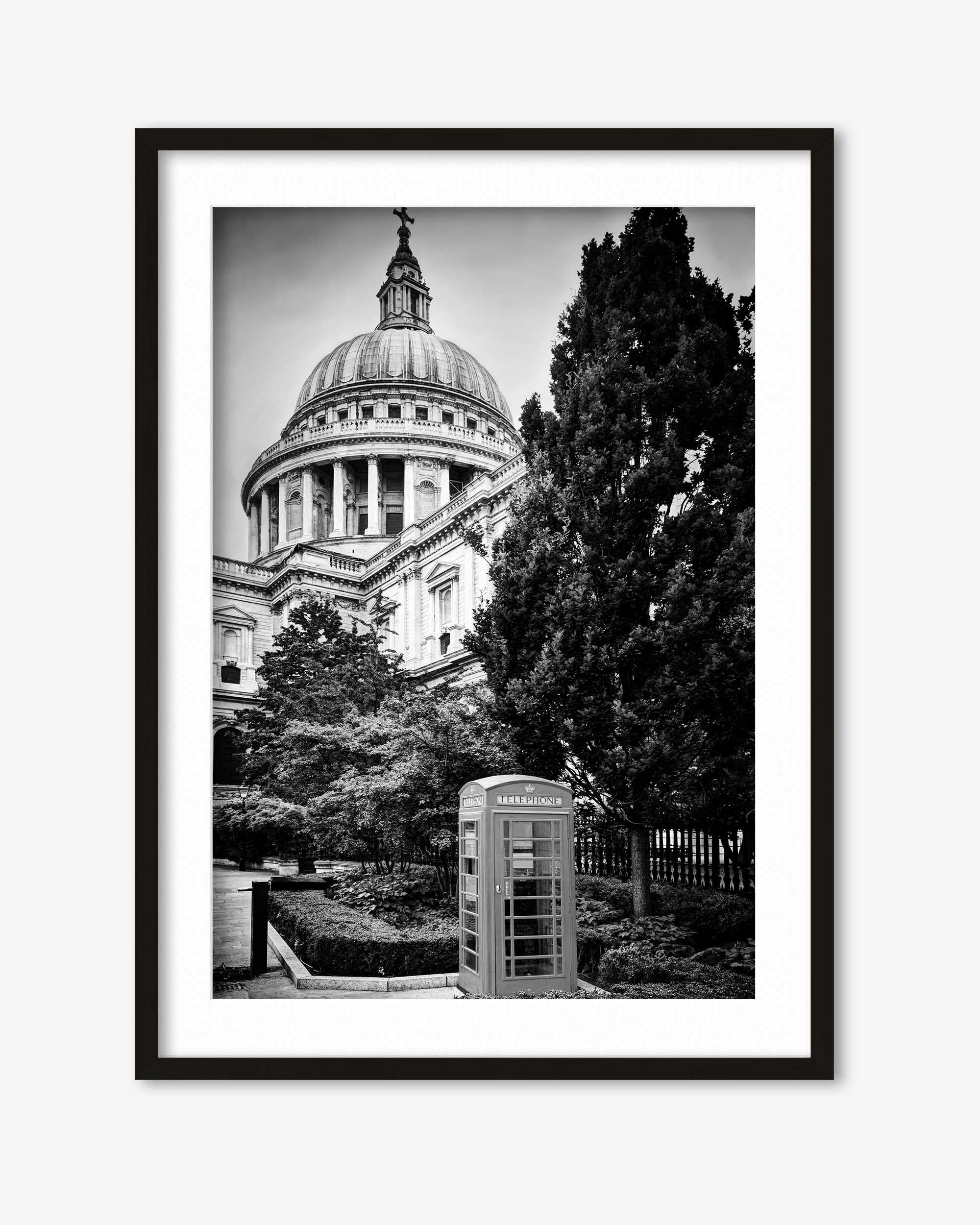 Framed black and white photograph of a large building with a dome and trees in the foreground.