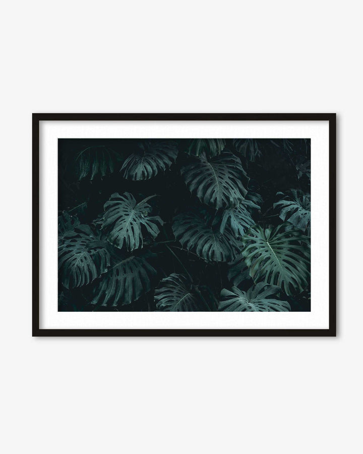Tropical Forest III Wall Art Print