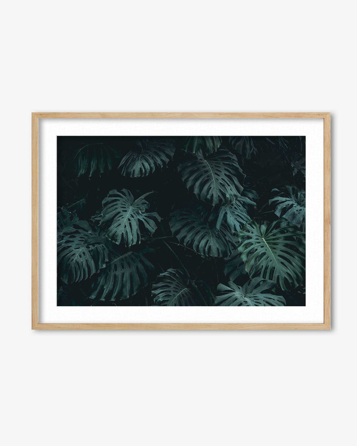 Tropical Forest III Wall Art Print