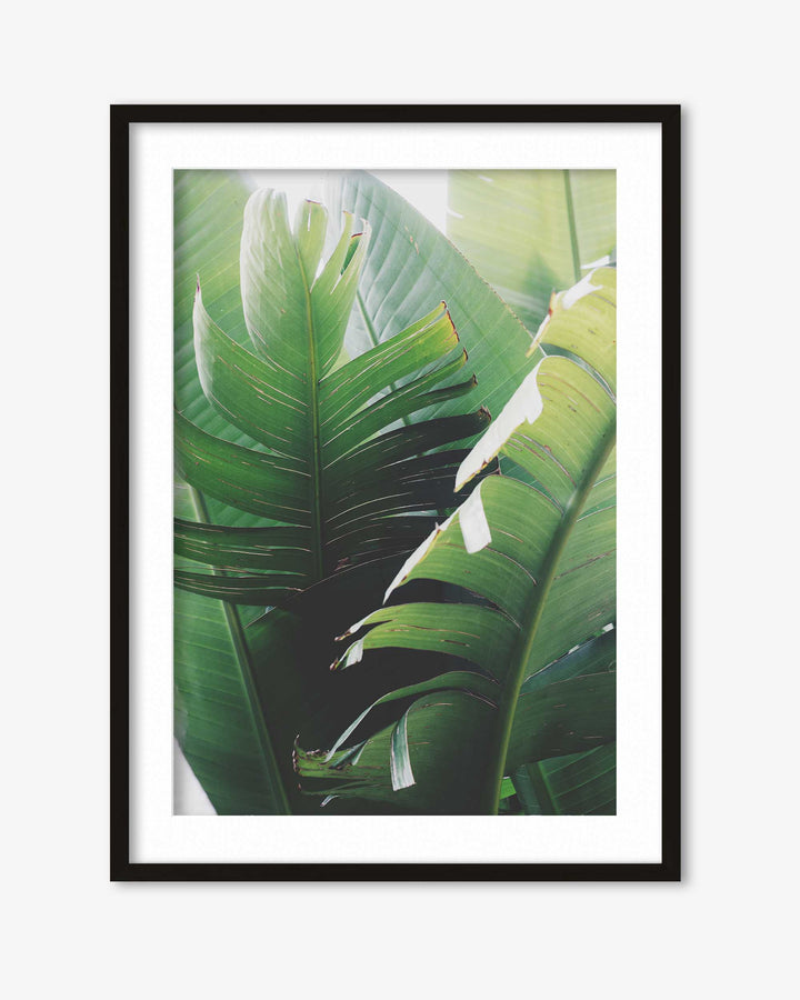 Tropical Leaves Wall Art Print