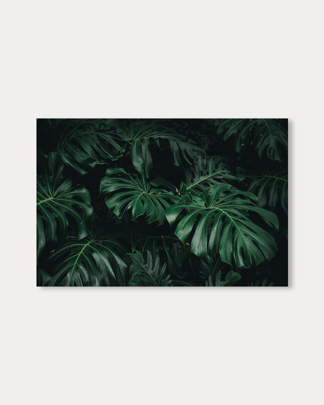 Tropical Green Leaves Art Print