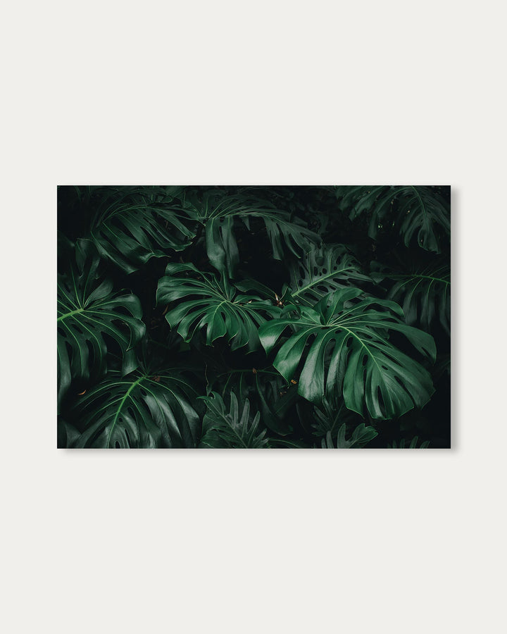 Tropical Green Leaves Art Print