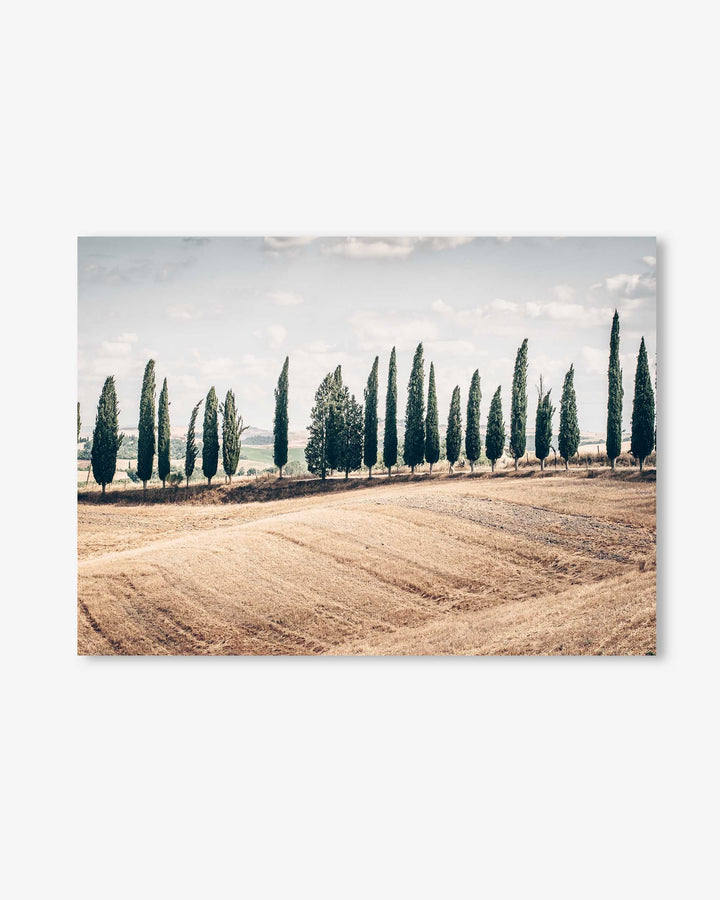 Tuscany Art Print