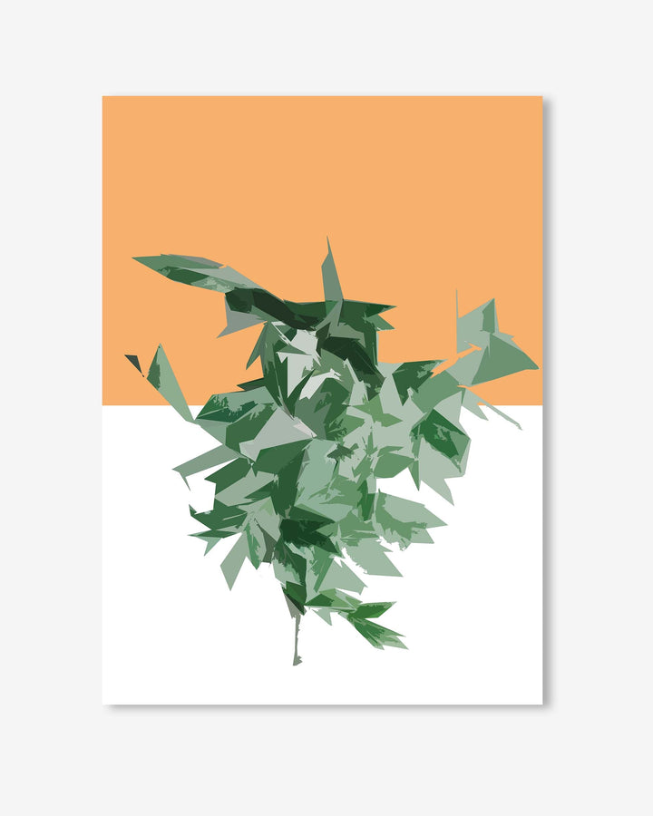 Green leafy plant against an orange and white background