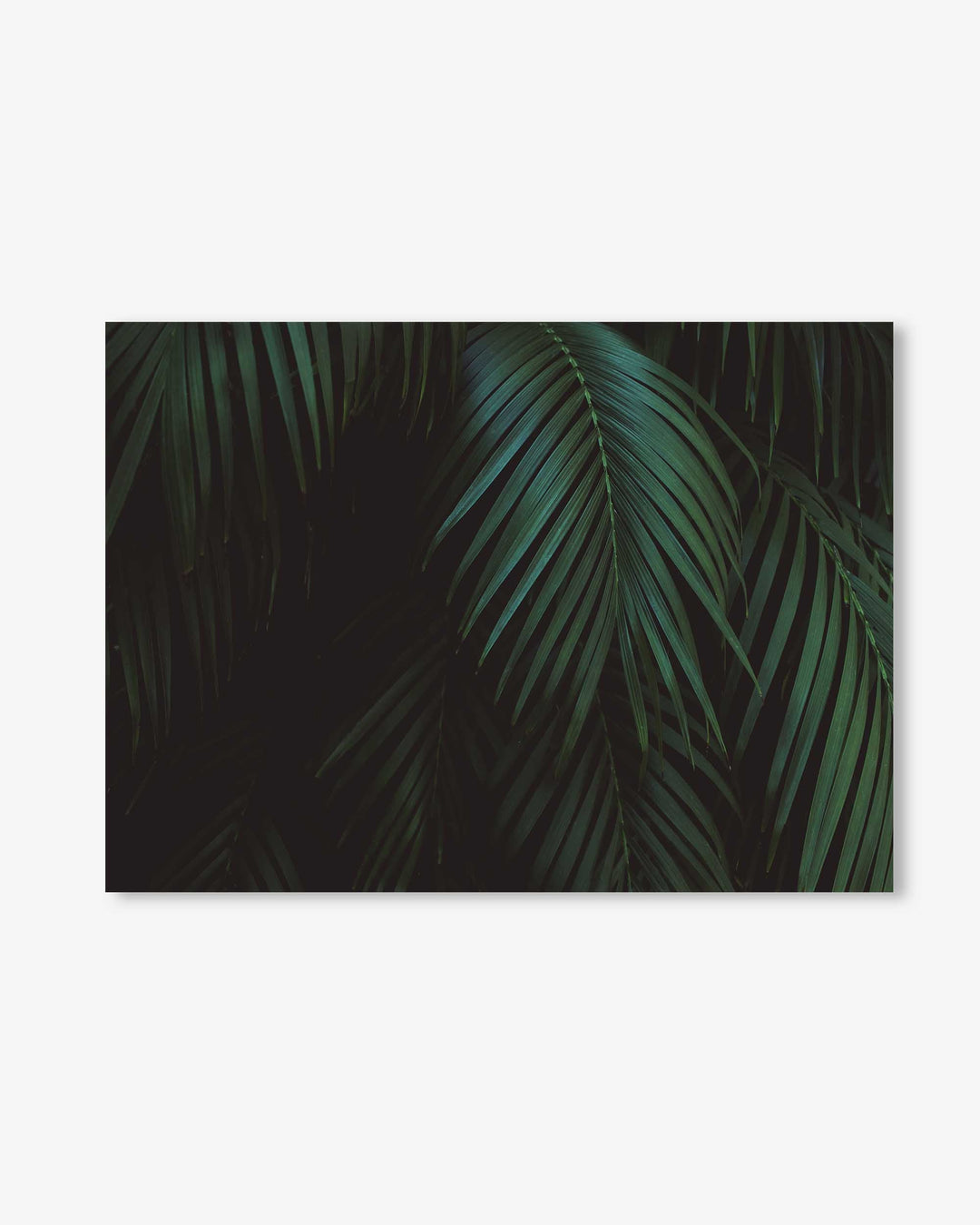 Leaves Portrait Wall Art Print