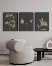 Botanical Vintage Leaves Set Of 3 Canvas